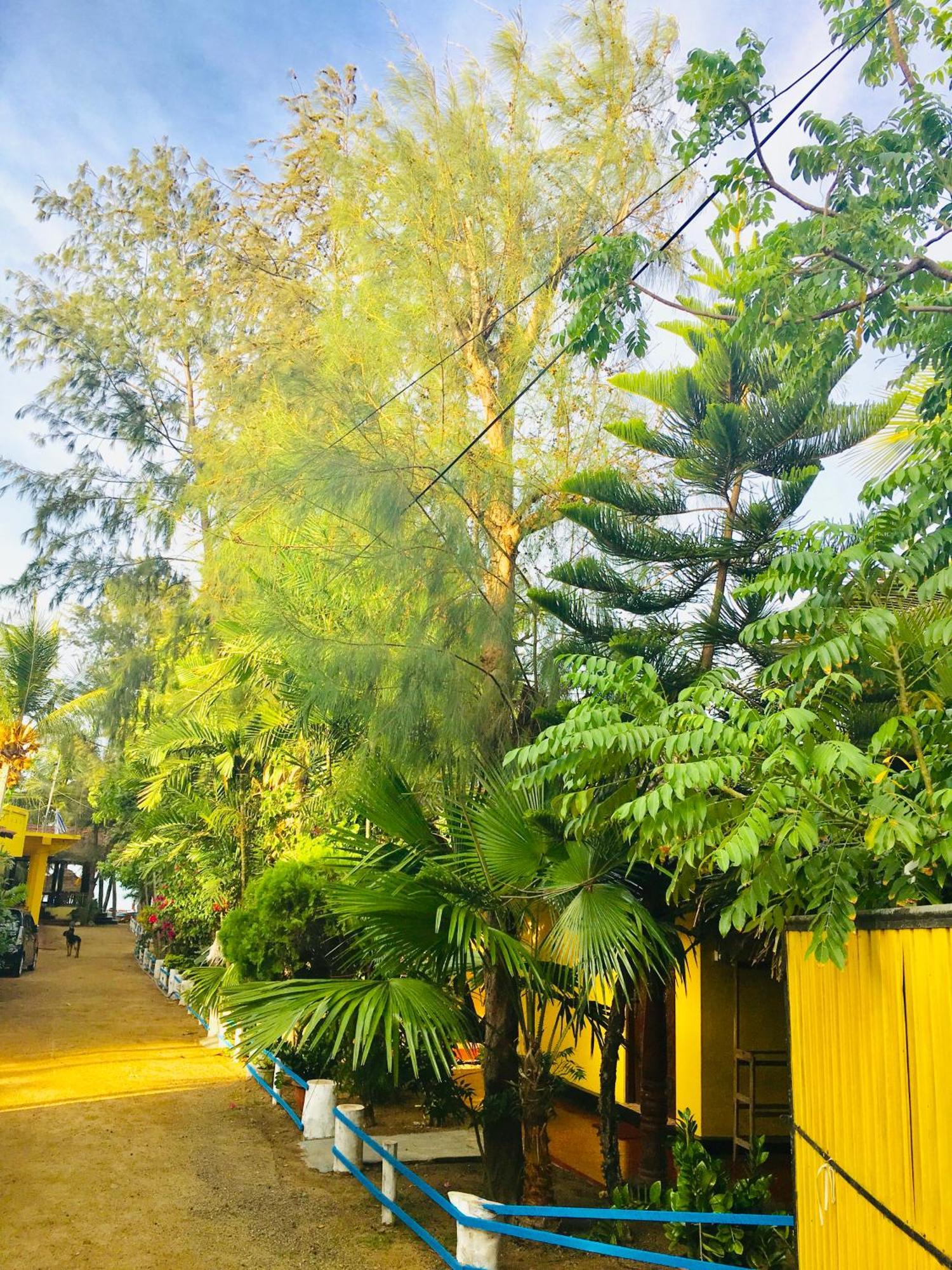 Shashini Beach Resort Arugam Bay Exterior foto